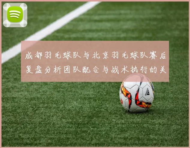 成都羽毛球队与北京羽毛球队赛后复盘分析团队配合与战术执行的关键因素