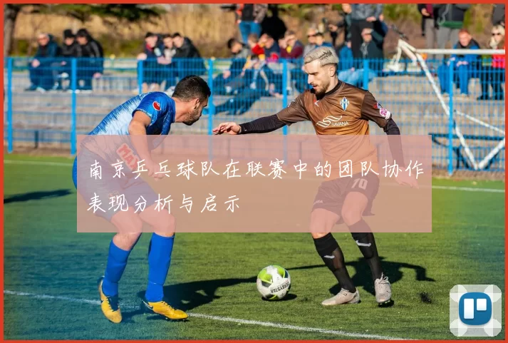南京乒乓球队在联赛中的团队协作表现分析与启示